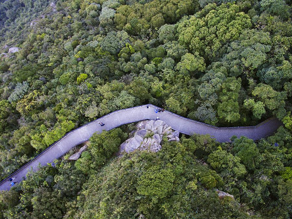Lugard road, The Peak, Hong Kong, 2016