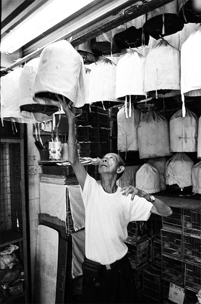 Bird Market, Hong Kong