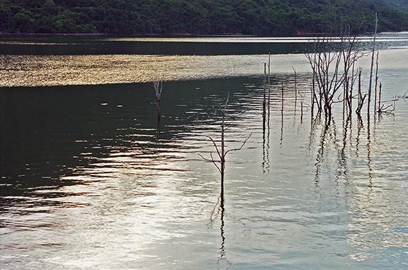 Plover cove Reservoir Dawn, 1998