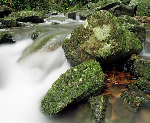 Water fall, Ma On Shan Country Park, Hong Kong / 梅子林