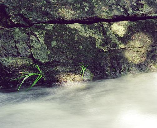 Water fall, Ma On Shan Country Park, Hong Kong