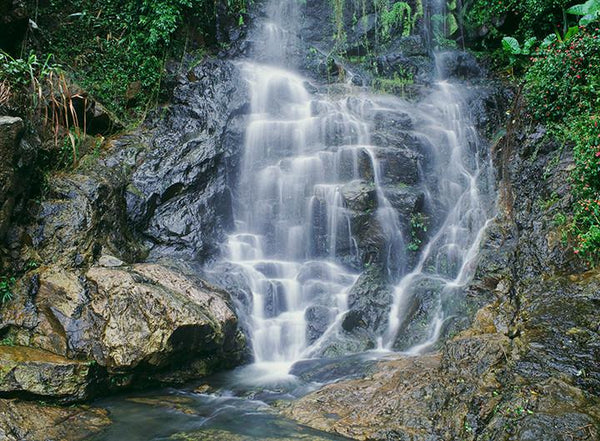 Water fall, the Peak, Hong Kong 2000