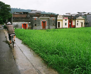 Village house, Luk Keng Hong Kong / 鹿頸村 2003
