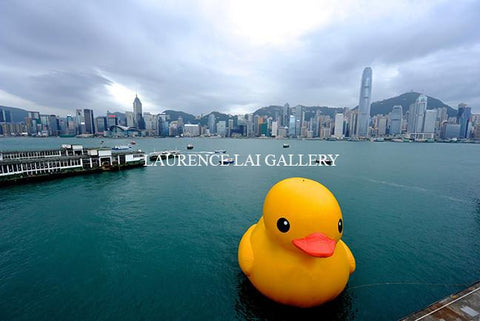 Giant Rubber Duck Visits Victoria Harbour Hong Kong 2013