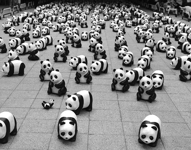 1600 Paper Pandas in Hong Kong 2014